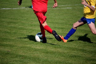 九游网页官网-NBA球员训练计划个性化设计，nba球员训练视频,篮球技术